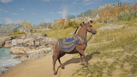 ac odyssey horse skins.